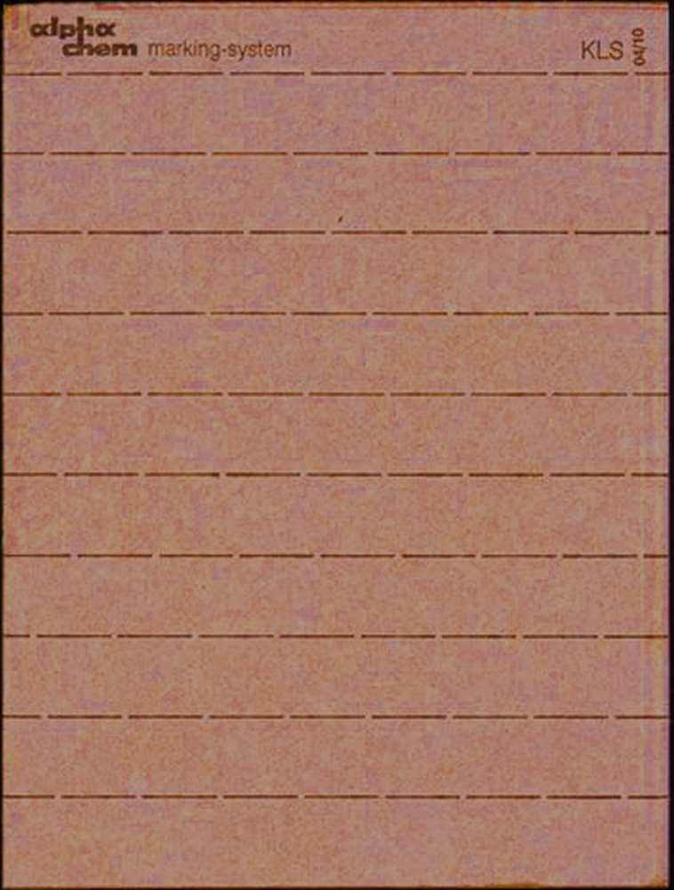 Buttonhole strips without numbering - white