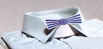 Kragenstützen Modell MEVO mit Fliege, weiss/blau