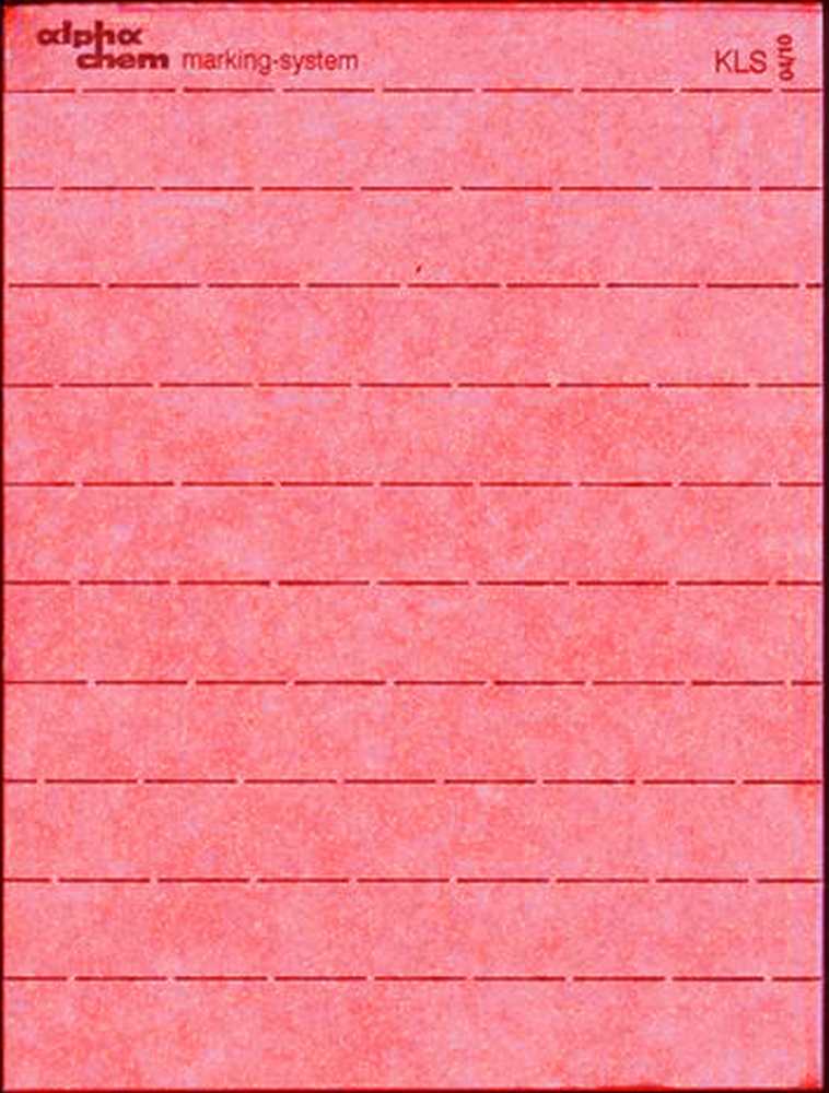 Buttonhole strips without numbering - white